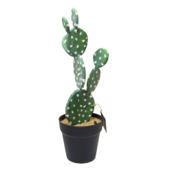 Kaktus dekoracyjny Potrójny 46cm