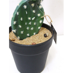 Kaktus dekoracyjny Potrójny 46cm