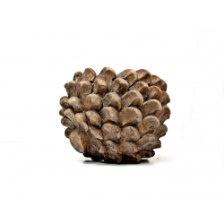 Szyszka betonowa Osłonka dekoracja 20cm
