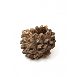 Szyszka betonowa Osłonka dekoracja 12cm