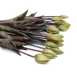 Tulipany bukiet 7szt. zielona Oliwka 40cm