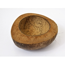 Misa dekoracyjna Kokos naturalny jasny brąz