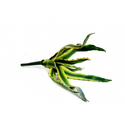 Aloes sztuczny kwiat piankowy