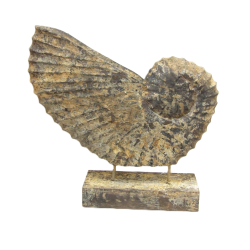 Muszla z drewna Ozdoba Rustykalna 28cm