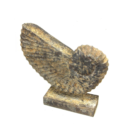 Muszla z drewna Ozdoba Rustykalna 28cm