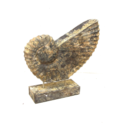 Muszla z drewna Ozdoba Rustykalna 28cm